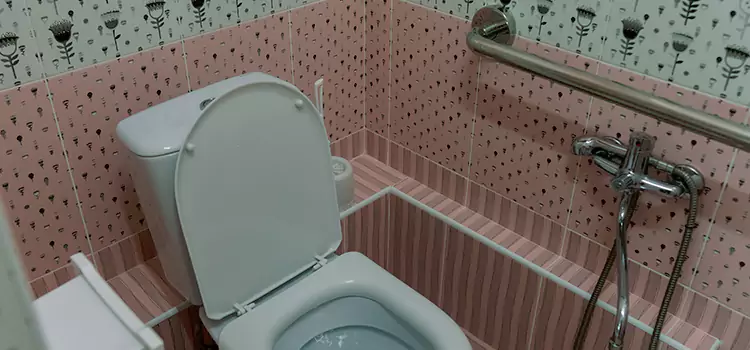Meeting Diverse Needs With Accessible Restroom Solutions in Lodi, CA